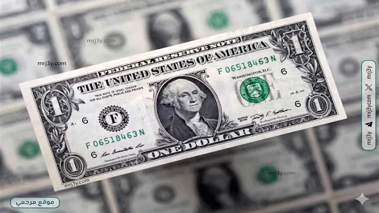 استقرار سعر الدولار خلال تعاملات البنوك المصرية اليوم الثلاثاء